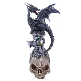 10" Black Dragon on Skull Statue