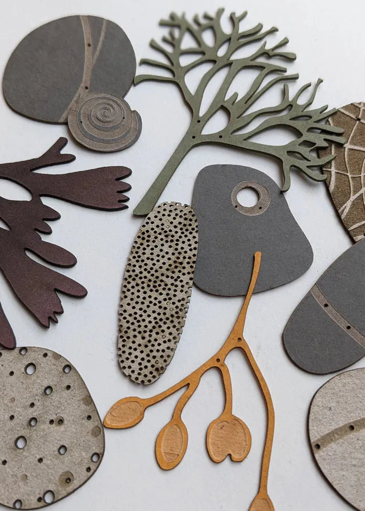 A Small Collection of Paper Pebbles & Seaweed