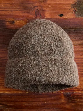 Alpaca Watch Cap in Earth Boucle