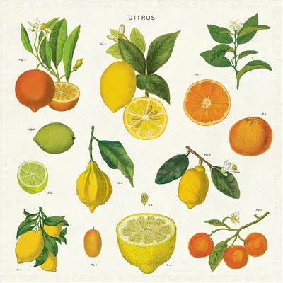  Citrus Vintage  Napkins