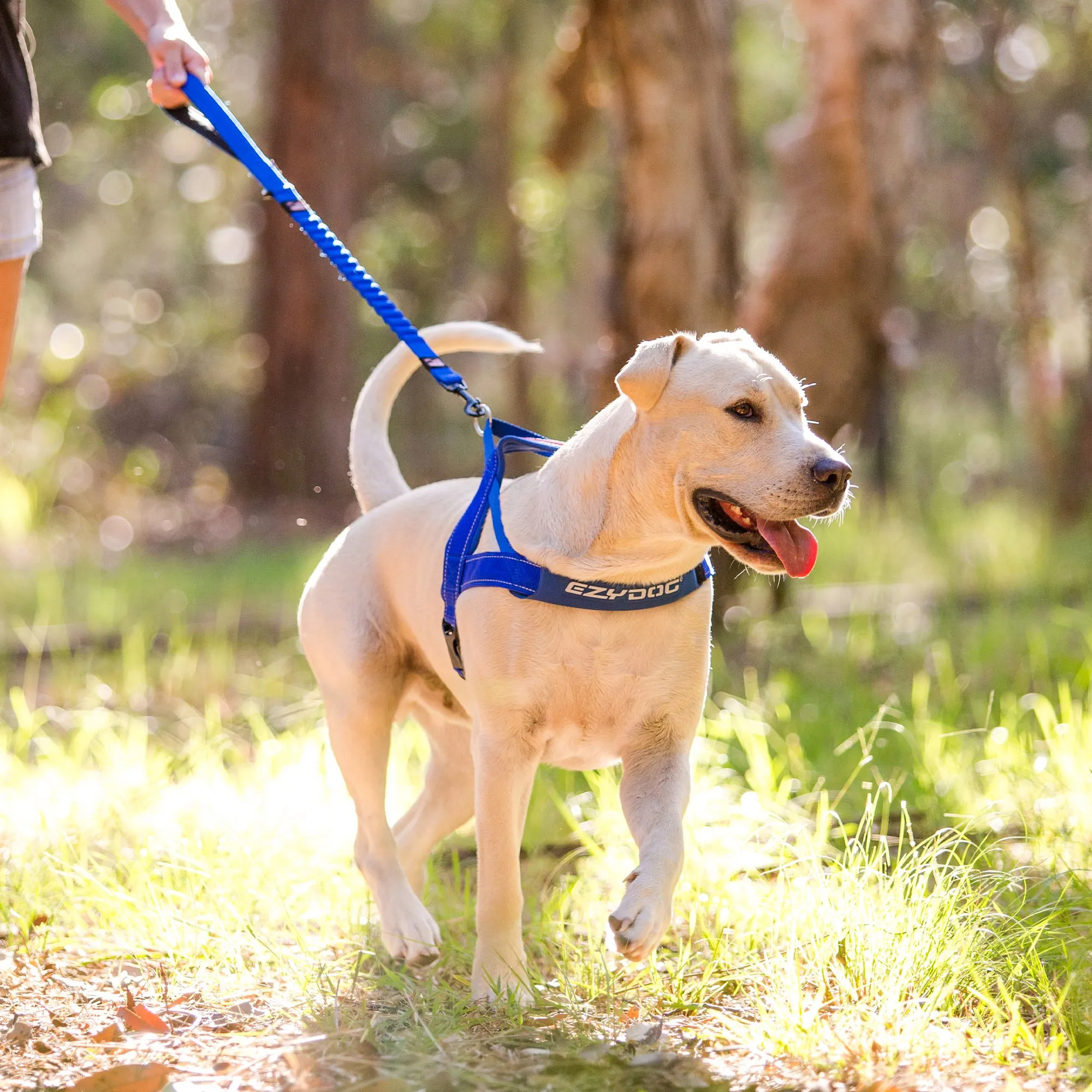 EzyDog Quick Fit Dog Harness, Black