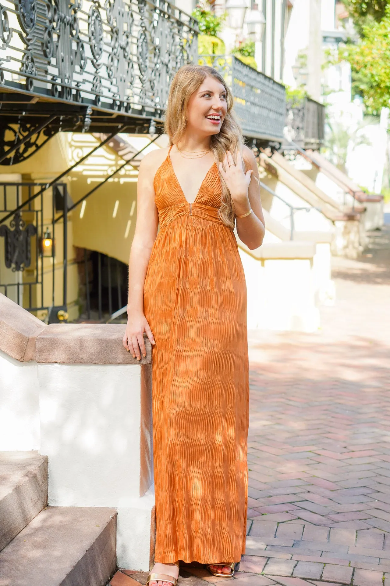 Finer Things Bronze Maxi Dress