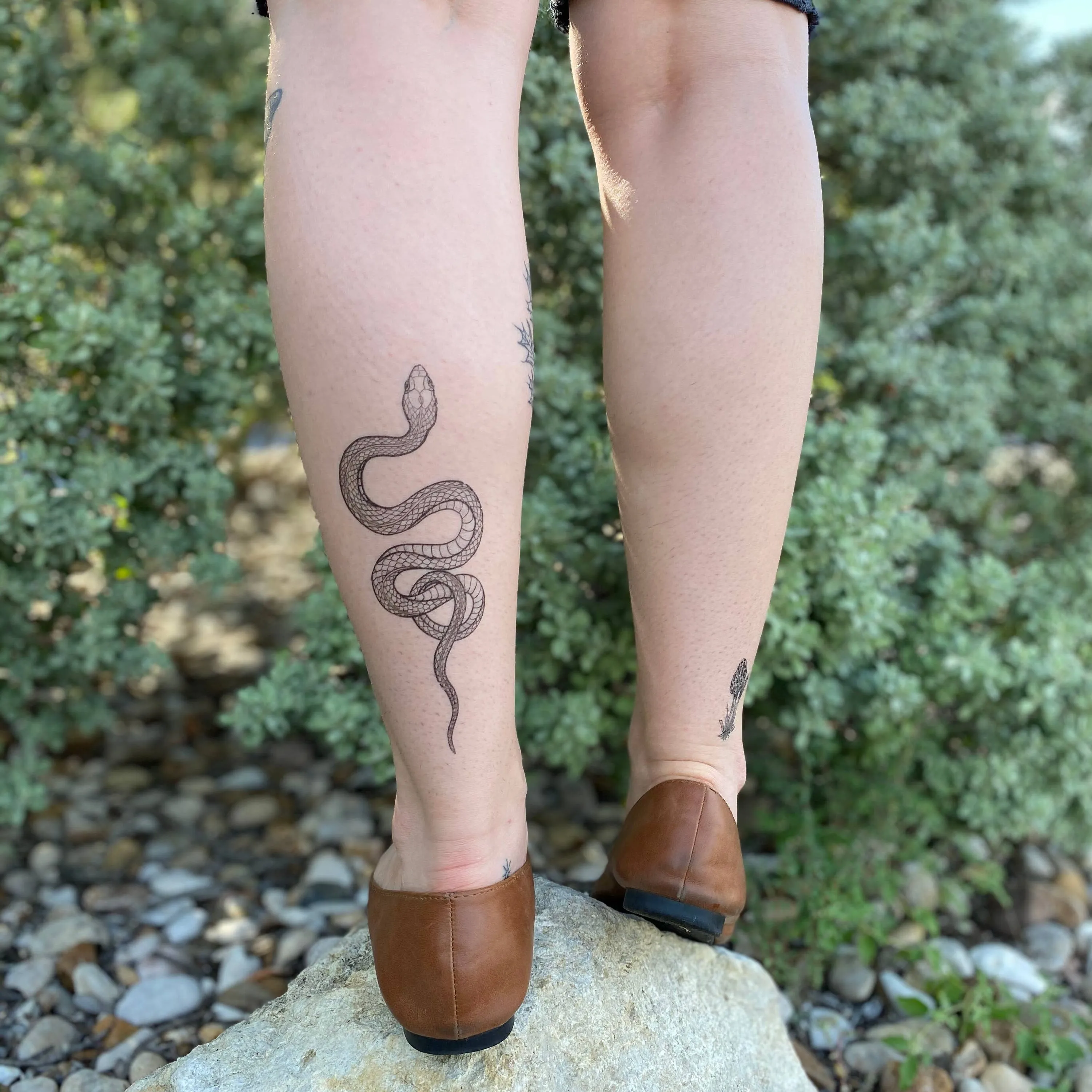 Garden Snake Temporary Tattoo