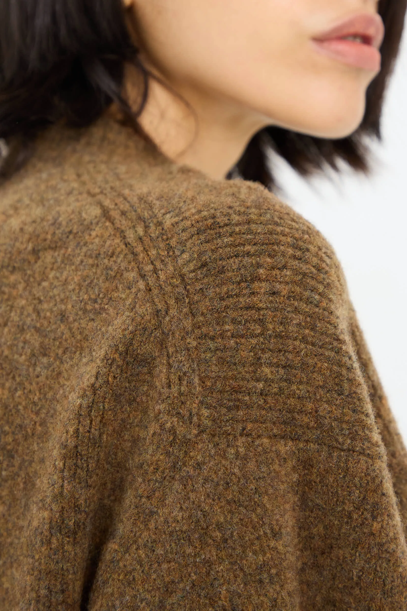 High Loft Wool Sirio Crew Neck in Nutmeg