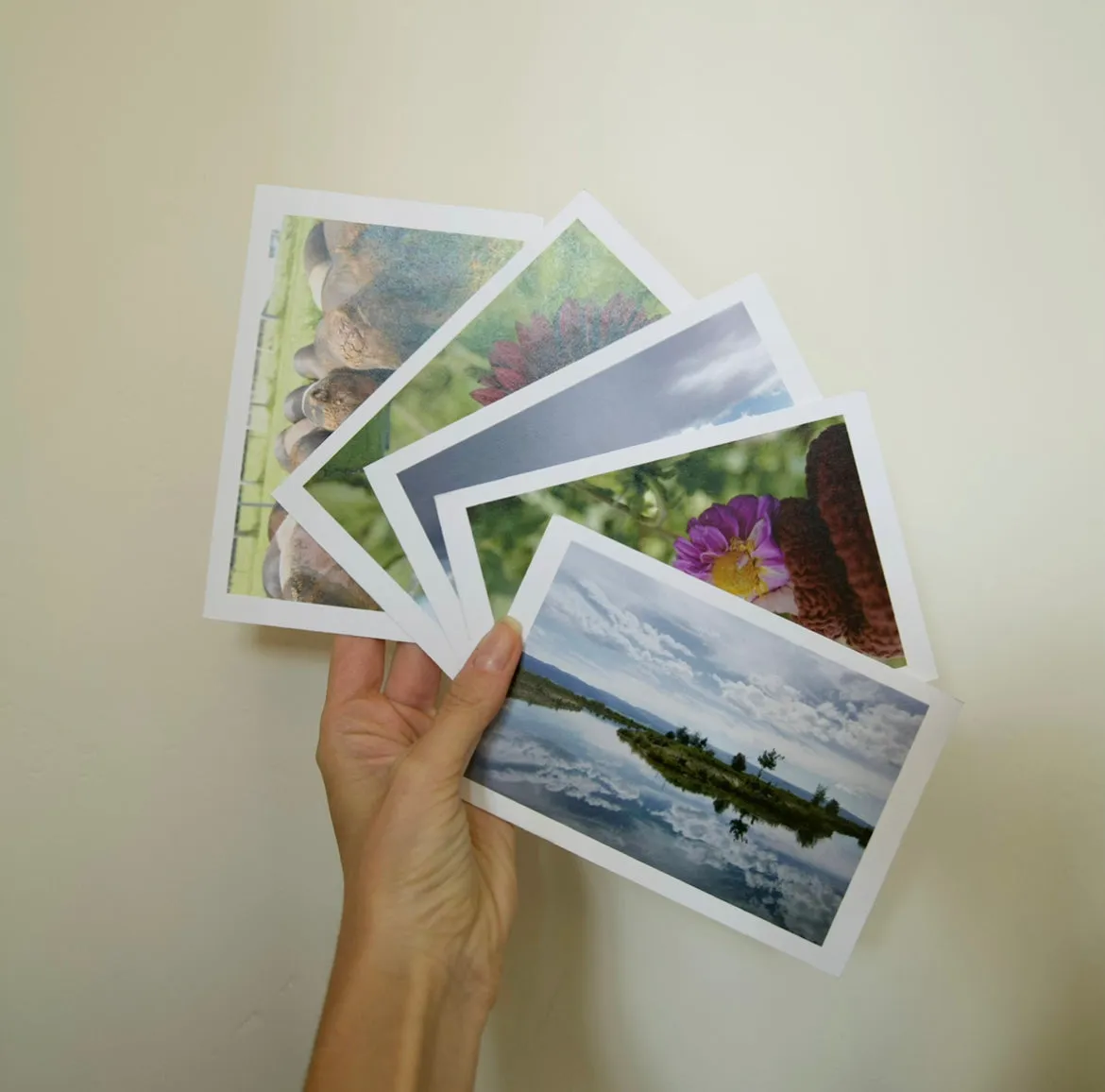 Landscape Postcard Set