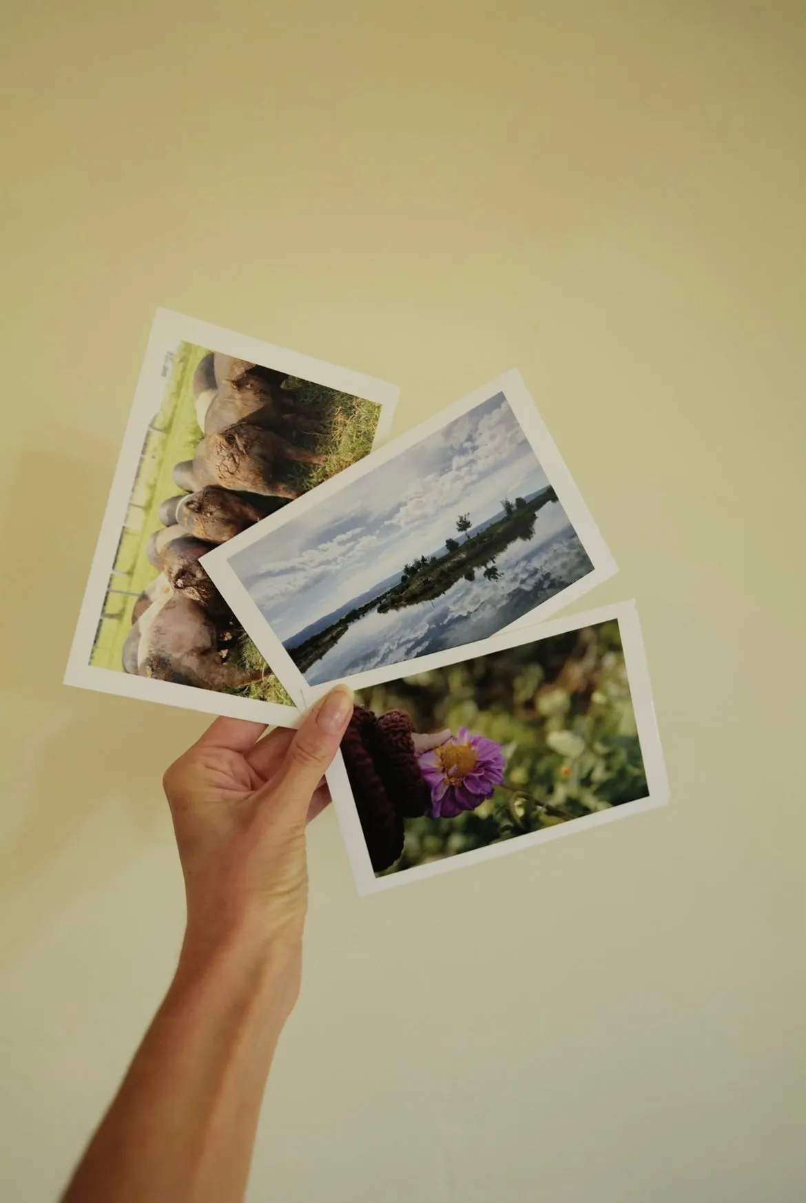 Landscape Postcard Set