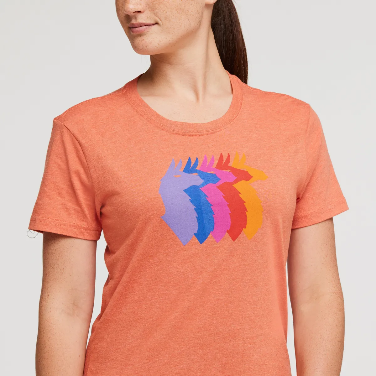 Llama Sequence T-Shirt - Women's