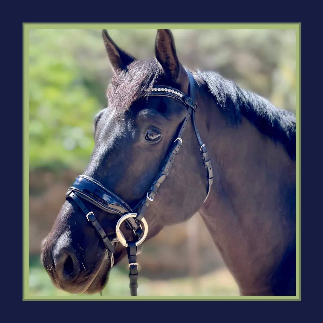 Madison - Black Patent Gunmetal Sparkle Snaffle Bridle