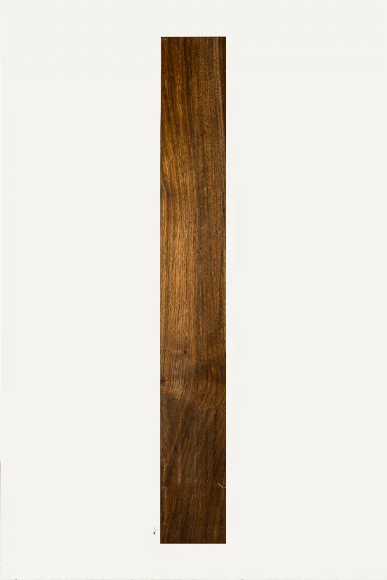 Oregon Black Walnut Neck Blank