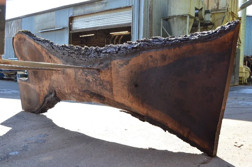 Oregon Black Walnut Slab 070522-05