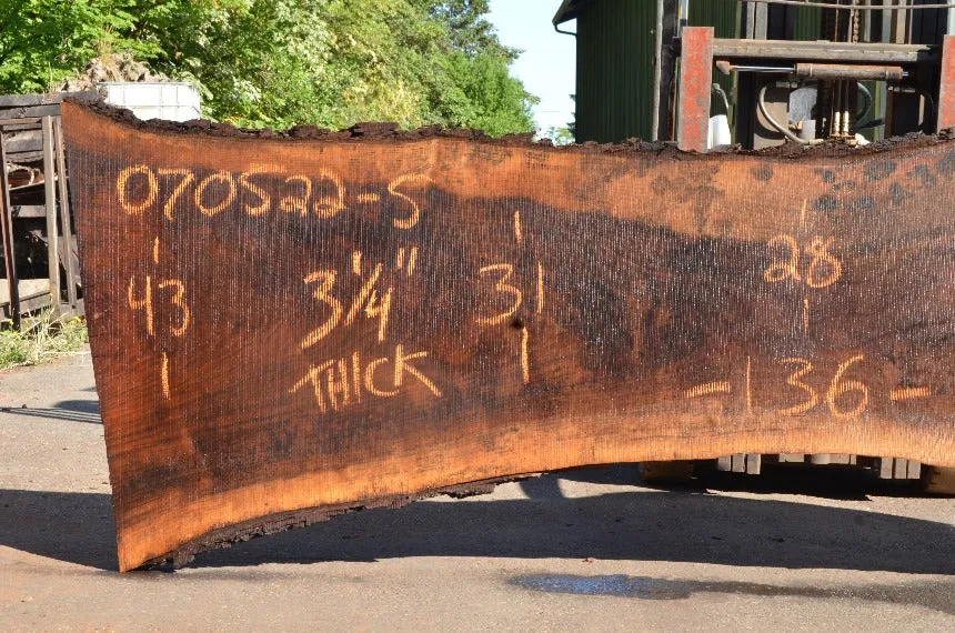 Oregon Black Walnut Slab 070522-05