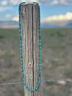 The Carson City Turquoise Necklace