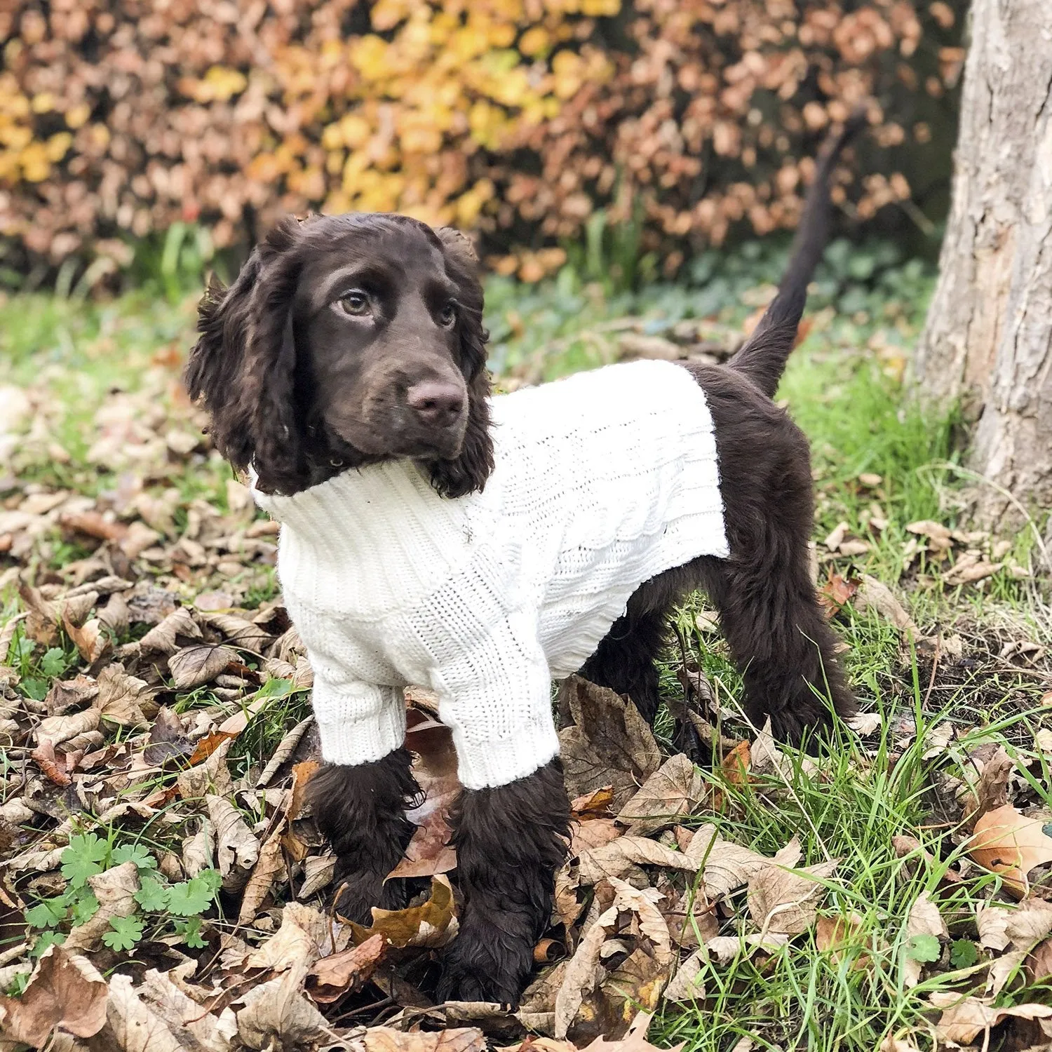 Turtleneck Knitwear