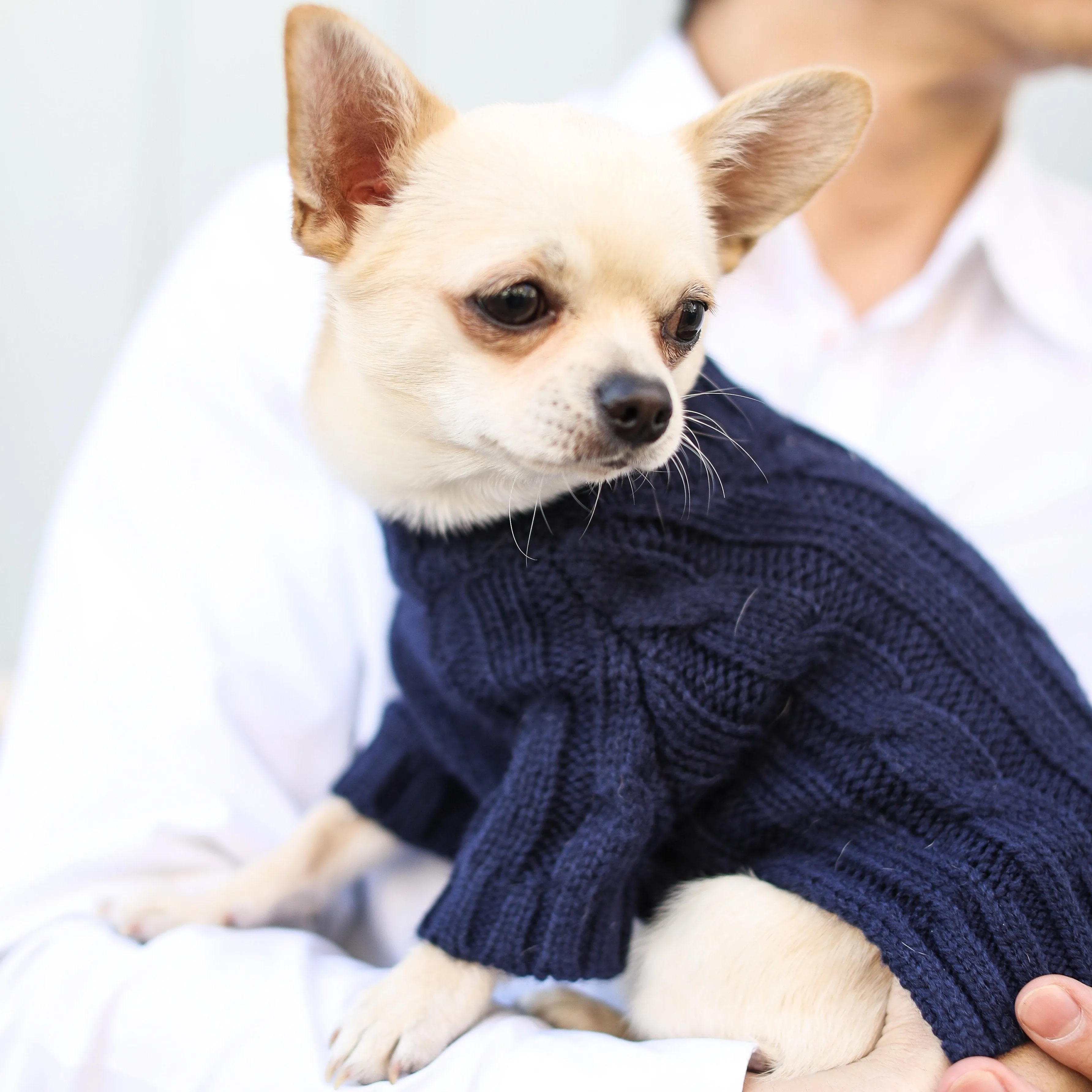 Turtleneck Knitwear